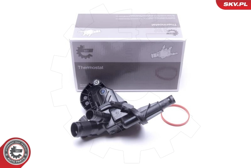 Thermostat, coolant